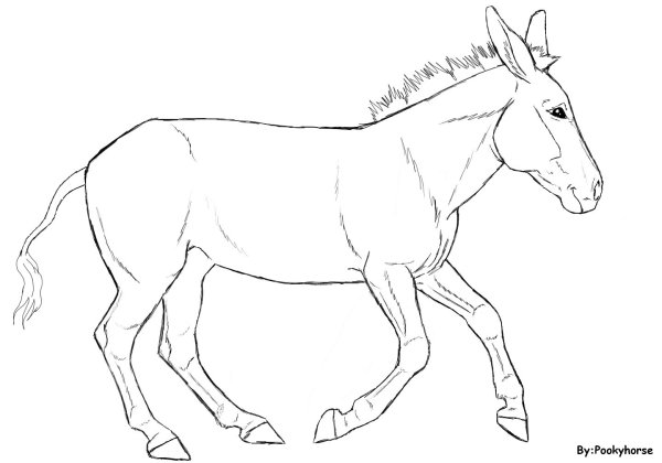 Схема рисования осла