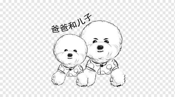 Бишон вектор