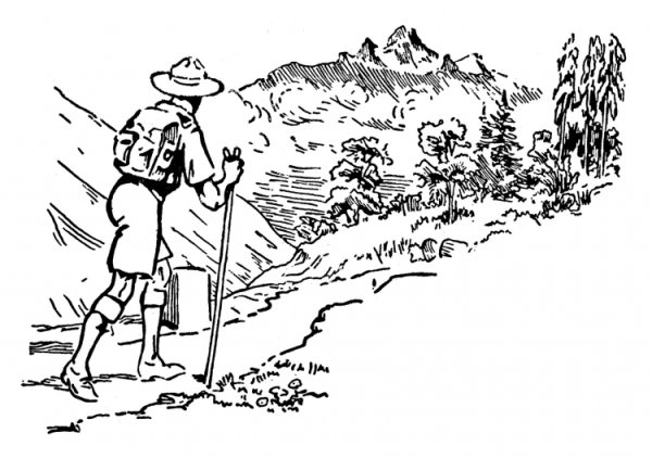 Раскраска огонь друг огонь враг для детей