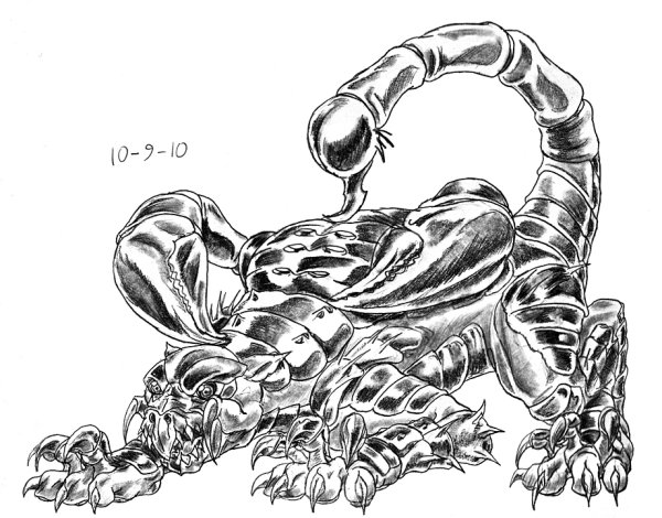 Скорпион рисунок карандашом