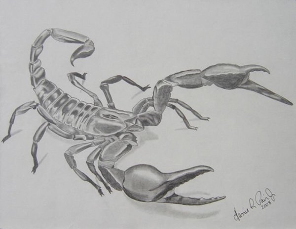 Рисунки для срисовки Скорпион
