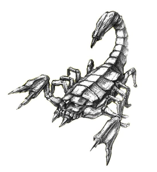 Скорпион рисунок карандашом