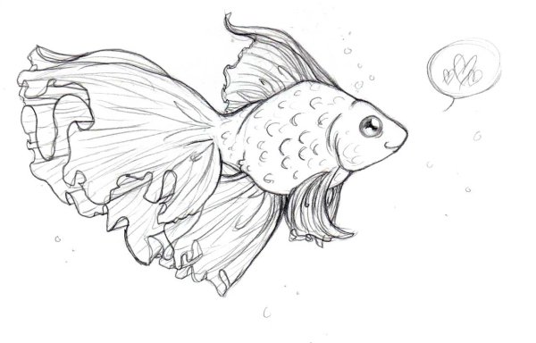 Рыбка карандашом