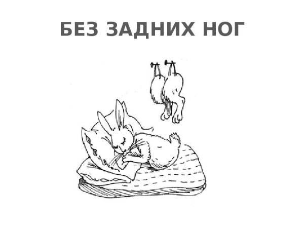 Спать без задних ног фразеологизм