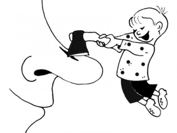 Фразеологизм зарубить на носу