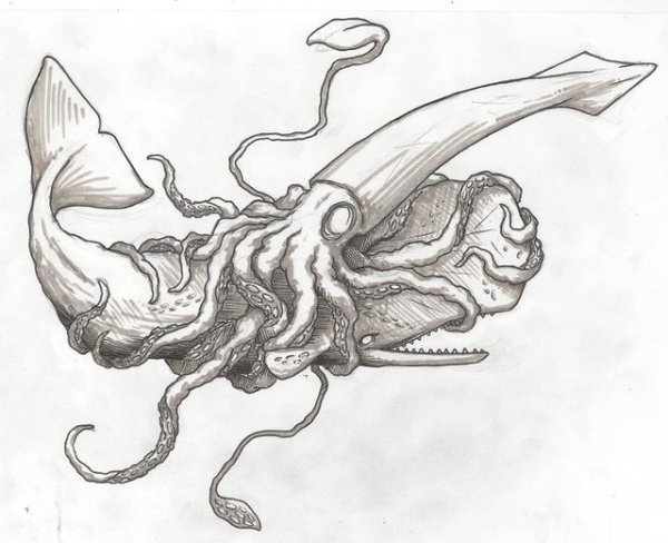 Кальмар осьминог каракатица