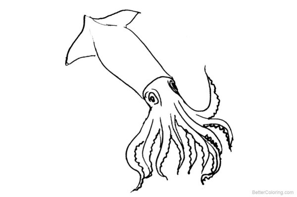 Кальмар рисунок