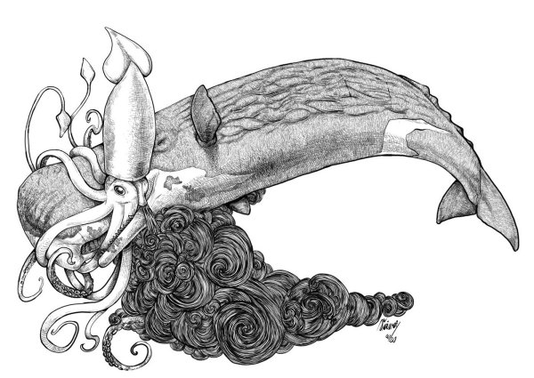 Гигантский кальмар раскраска