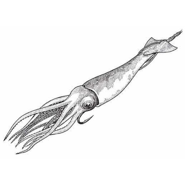 Кальмар трафарет