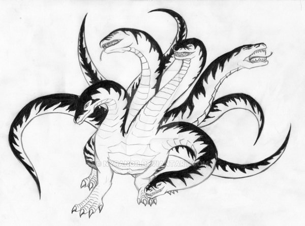 Драгон гидра