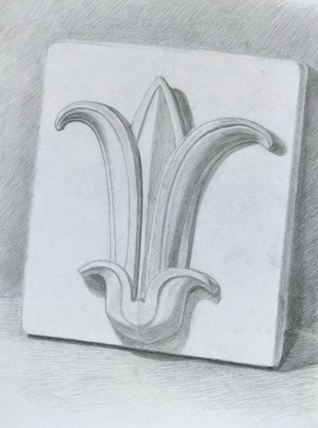 Гипсовая розетка пятилистник Академический рисунок