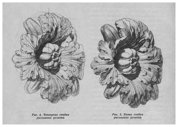 Академический рисунок гипсовая розетка