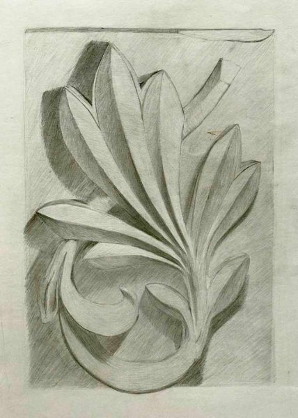 Розетка Восьмилистник сбоку