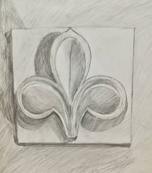 Академический рисунок гипсовая розетка