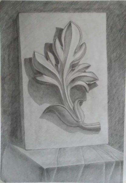 Построение гипсовой розетки Восьмилистник