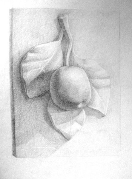 Гипсовые орнаменты для рисования