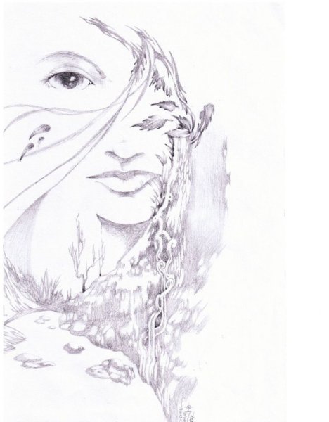 Красота рисунок карандашом