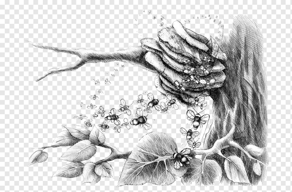 Графика картинки черно-белые карандашом