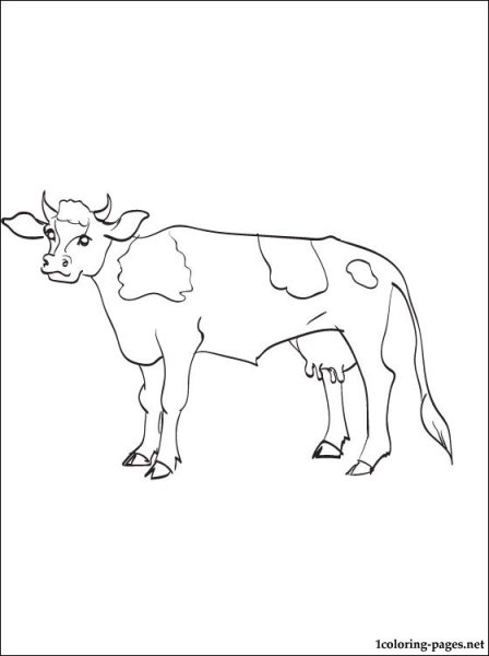 Корова рисунок карандашом для детей