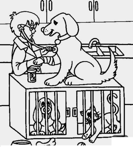 Профессия ветеринар раскраска