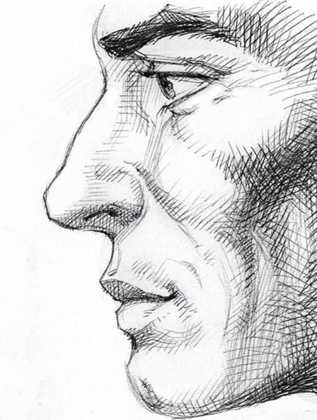 Портрет человека в профиль