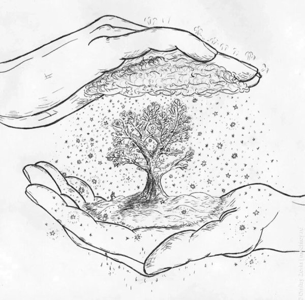 Рисунки для срисовки природа