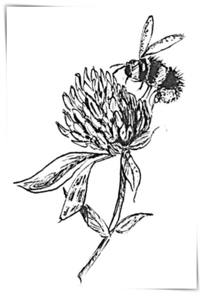 Зелёные рисунки для срисовки