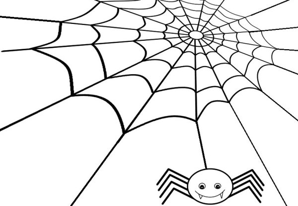 Паутина для срисовки