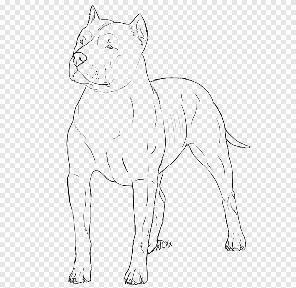 Раскраска собака стаффордширский терьер