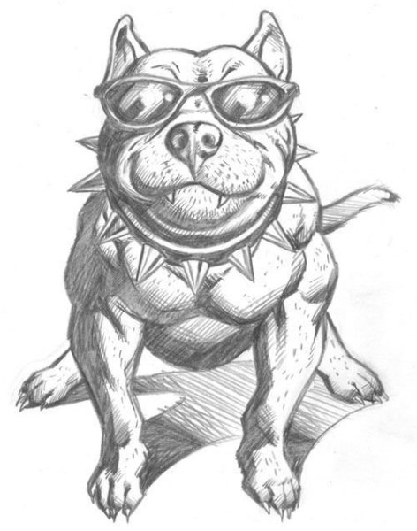 Амстафф карандашом