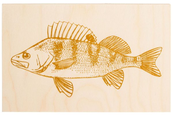 Окунь карандашом