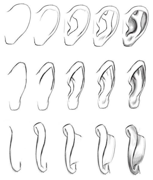 Поэтапное рисование ушей