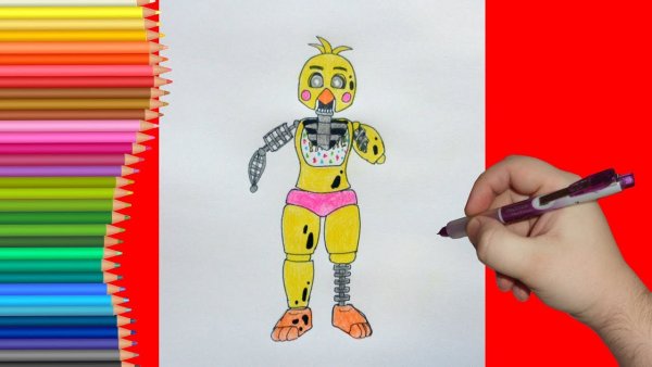 Срисовываем АНИМАТРОНИКА чику