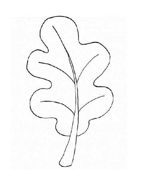 Контуры листьев деревьев для вырезания