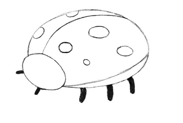 Раскраска Жук Божья коровка