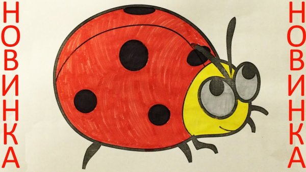 Нарисовать Божью коровку на цветке