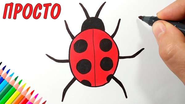 Нарисовать бужокоровку