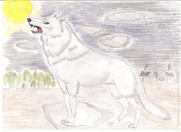 Волк рисунок карандашом для детей