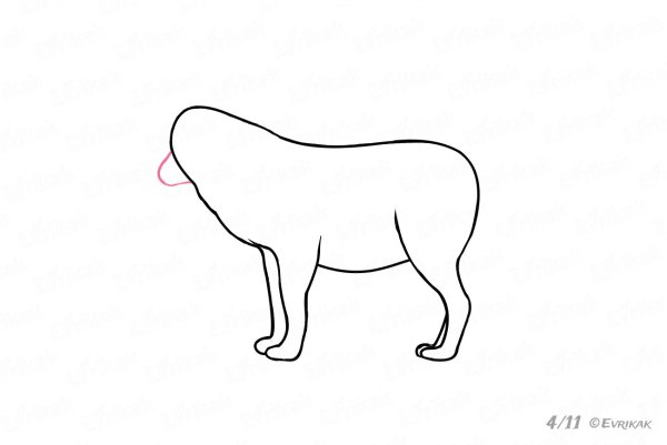 Волчица для рисования