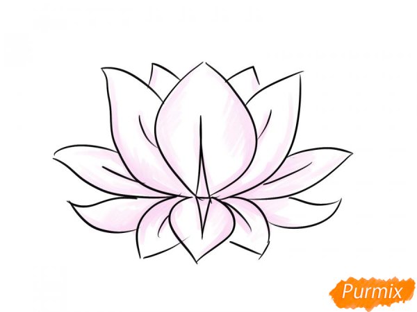 Кувшинка карандашом