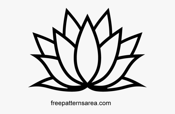 Лотос цветок карандашом