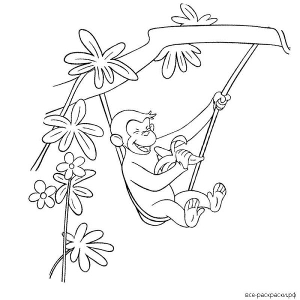 Лианы раскраска