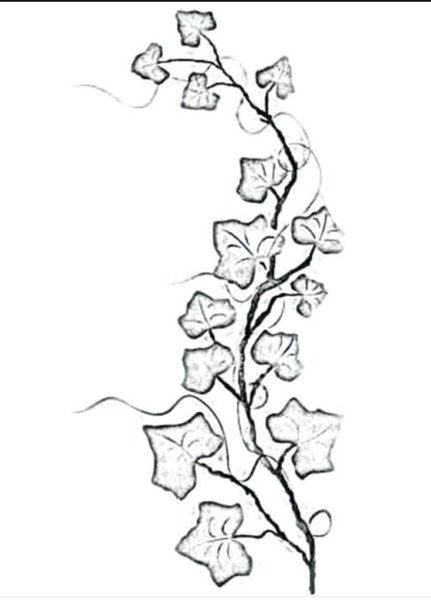 Тату вьющиеся цветы