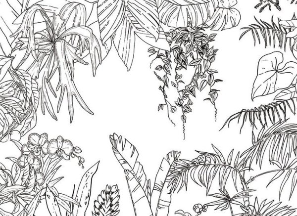 Тропические растения зарисовки