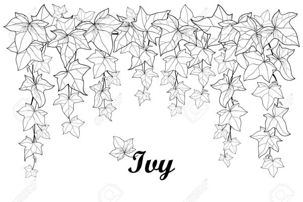 Вьющиеся цветы эскиз