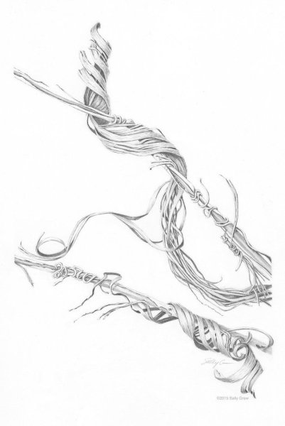 Висячие растения эскиз