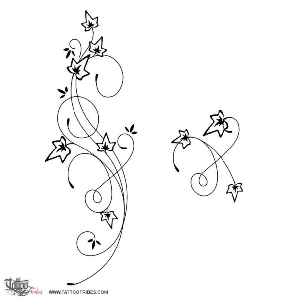 Глициния раскраска