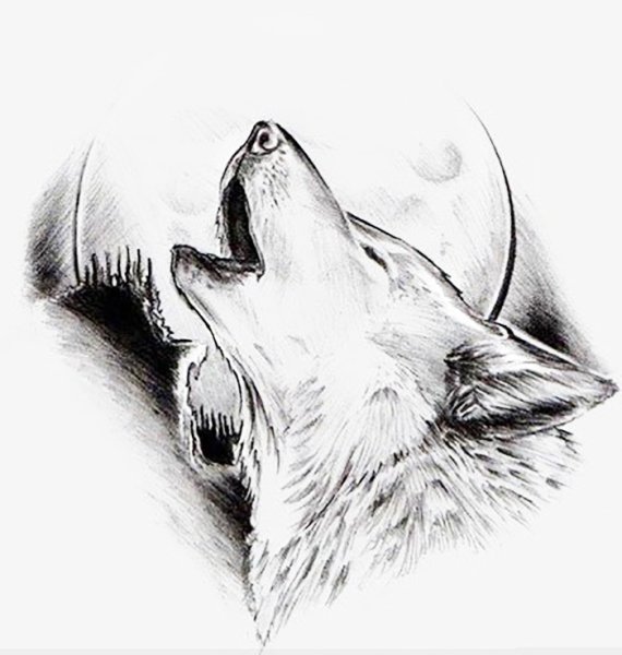 Рисунки Волков карандашом