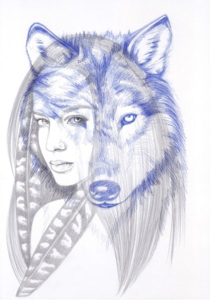 Волчица зарисовка