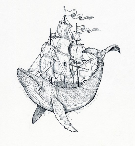 Кит рисунок